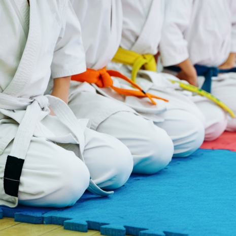 Kids training on karate-do. Banner with space for text. For web pages or advertising printing.